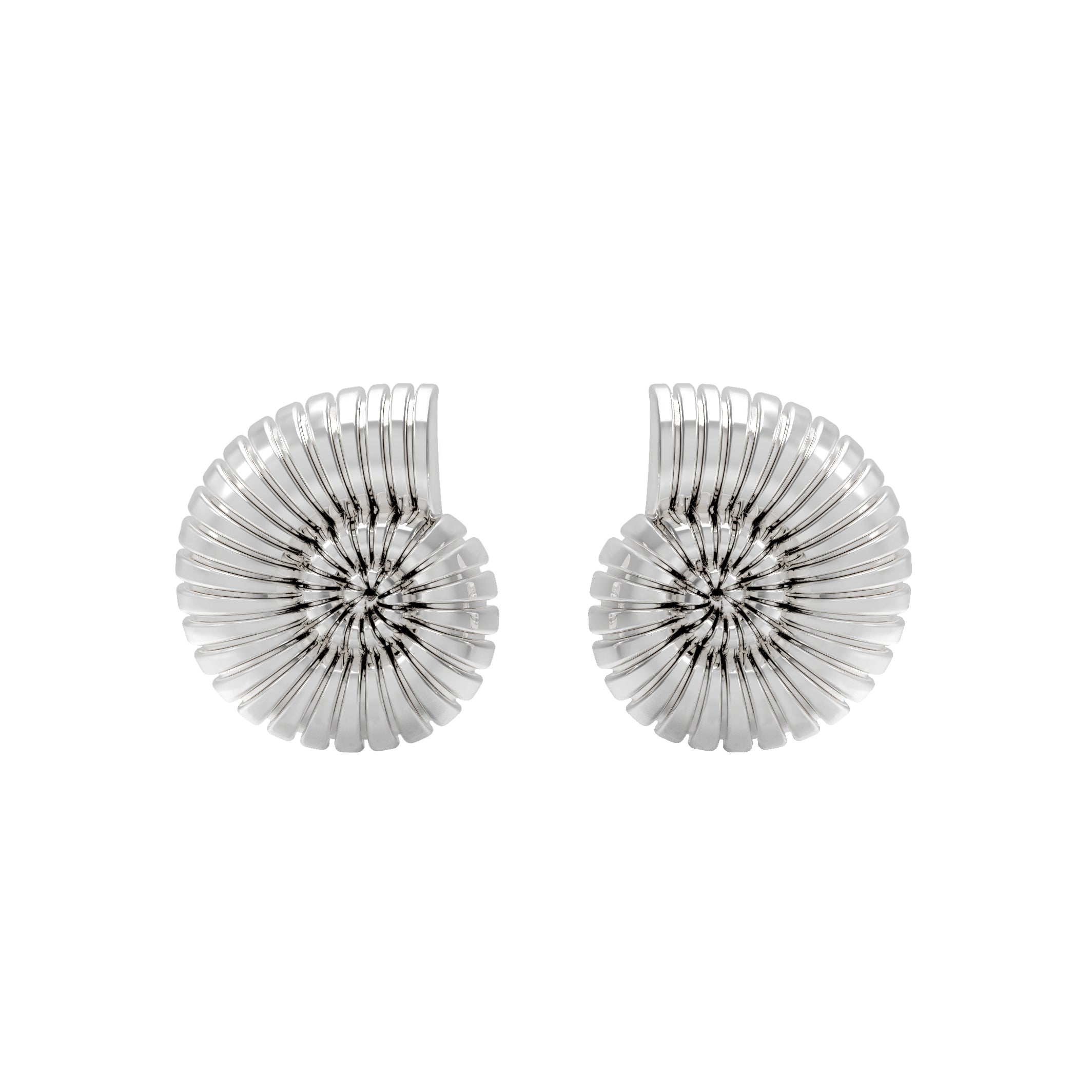 Statement Spiral Shell Stud