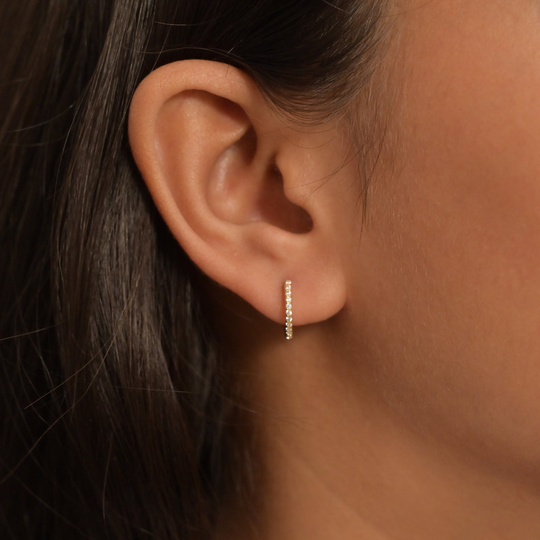 Timeless Rounded Diamond Hoop Earrings