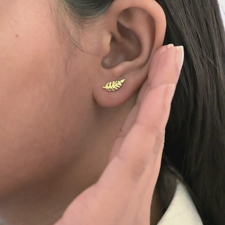 The Vernia Multi Pierced Studs