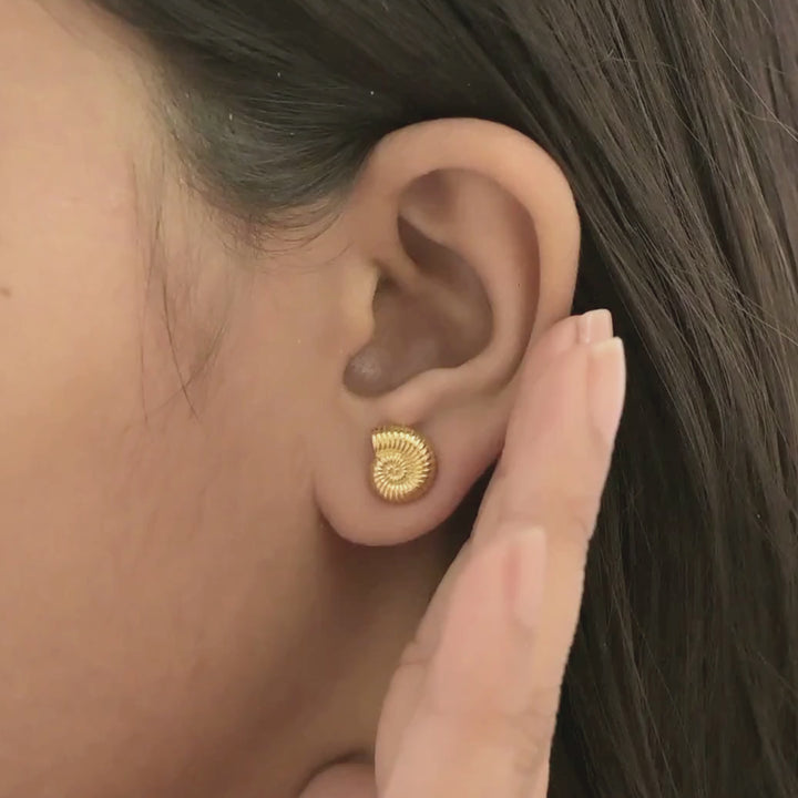 Classic Spiral Shell Stud